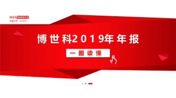 一图读懂尊龙凯时2019年年报