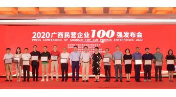 喜讯！尊龙凯时入选“2020广西民营企业100强”