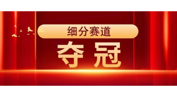 夺冠 | 尊龙凯时获评“2023年广西制造业单项冠军示范企业”