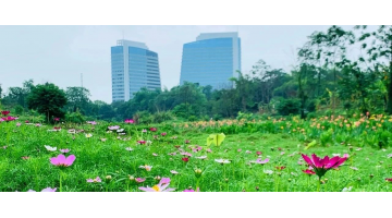 再添一标 | 科丽特中标南宁城市内河河道运维服务项目