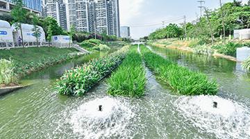 城市黑臭水体治理